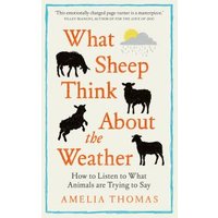 What Sheep Think About the Weather