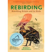 Rebirding