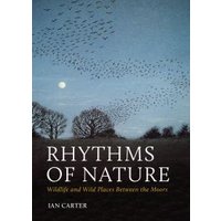 Rhythms of Nature