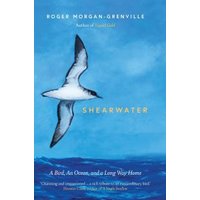 Shearwater