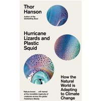 Hurricane Lizards and Plastic Squid