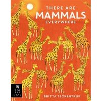 There Are Mammals Everywhere