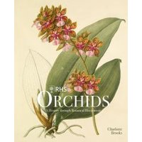 RHS Orchids