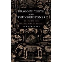 Dragons' Teeth and Thunderstones