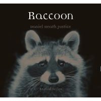 Raccoon