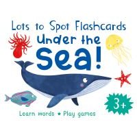 Lots to Spot Flashcards