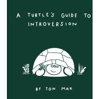 A Turtle's Guide to Introversion