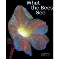 What the Bees See