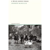A Wild Goose Chase