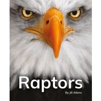 Raptors