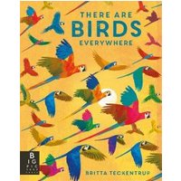 There Are Birds Everywhere