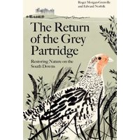 The Return of the Grey Partridge