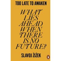 Too Late to Awaken