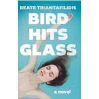 Bird Hits Glass