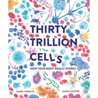 Thirty Trillion Cells