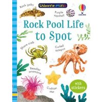 Rock Pool Life to Spot