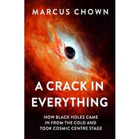 A Crack in Everything