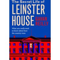 The Secret Life of Leinster House