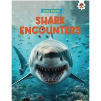 Shark Encounters