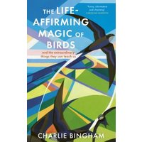 The Life-Affirming Magic of Birds