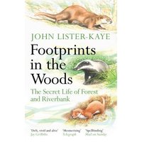 Footprints in the Woods