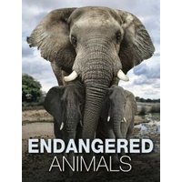 Endangered Animals