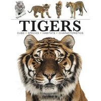 Tigers