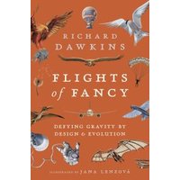 Flights of Fancy
