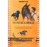 Punch a Hole