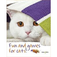 Fun and Games for Cats!