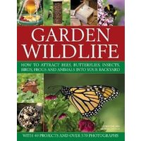 Garden Wildlife
