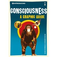Introducing Consciousness