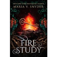 Fire Study
