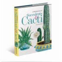 A Splendour of Succulents & Cacti
