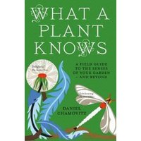 What a Plant Knows