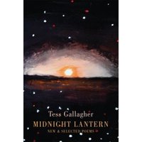 Midnight Lantern
