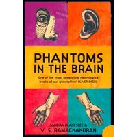 Phantoms in the Brain