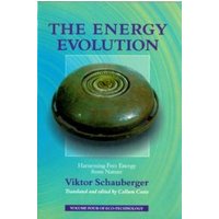 The Energy Evolution