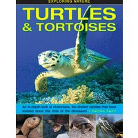Turtles & Tortoises