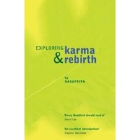 Exploring Karma & Rebirth