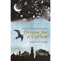 Orison for a Curlew