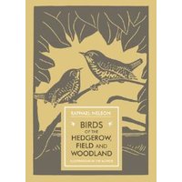 Birds of the Hedgerow, Field and Woodland