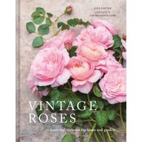 Vintage Roses
