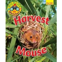 Harvest Mouse