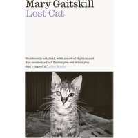 Lost Cat