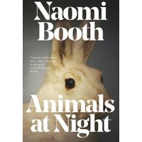 Animals at Night
