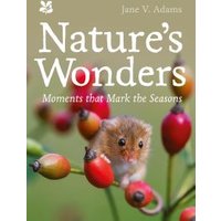 Nature's Wonders
