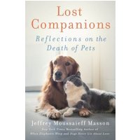 Lost Companions
