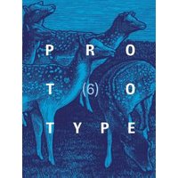 Prototype. 6