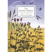 The Summer Meadow